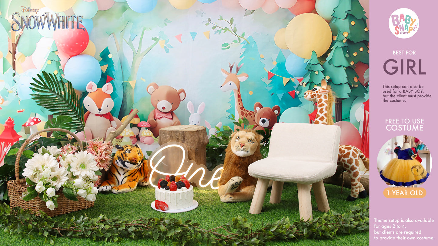 Themed Pre-Birthday Session (1-2 Years Old)