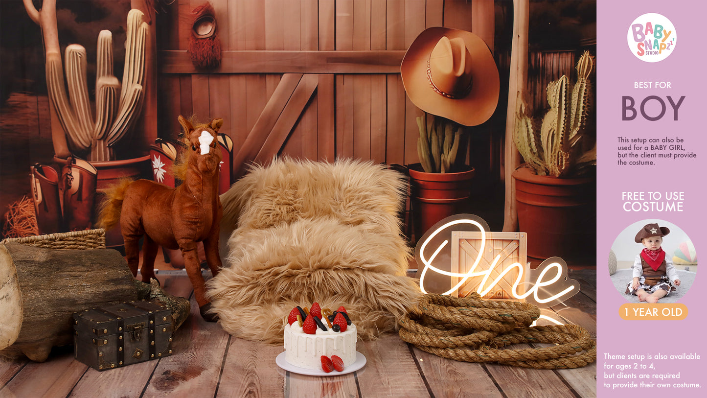 Themed Pre-Birthday Session (1-2 Years Old)