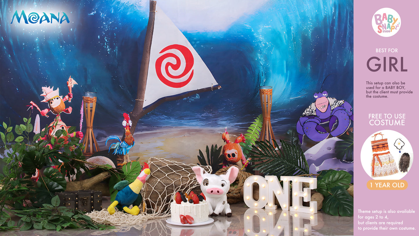 Themed Pre-Birthday Session (1-2 Years Old)