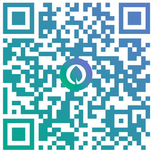 Visa/Mastercard- Credit Card and other Payment Channels QR Code