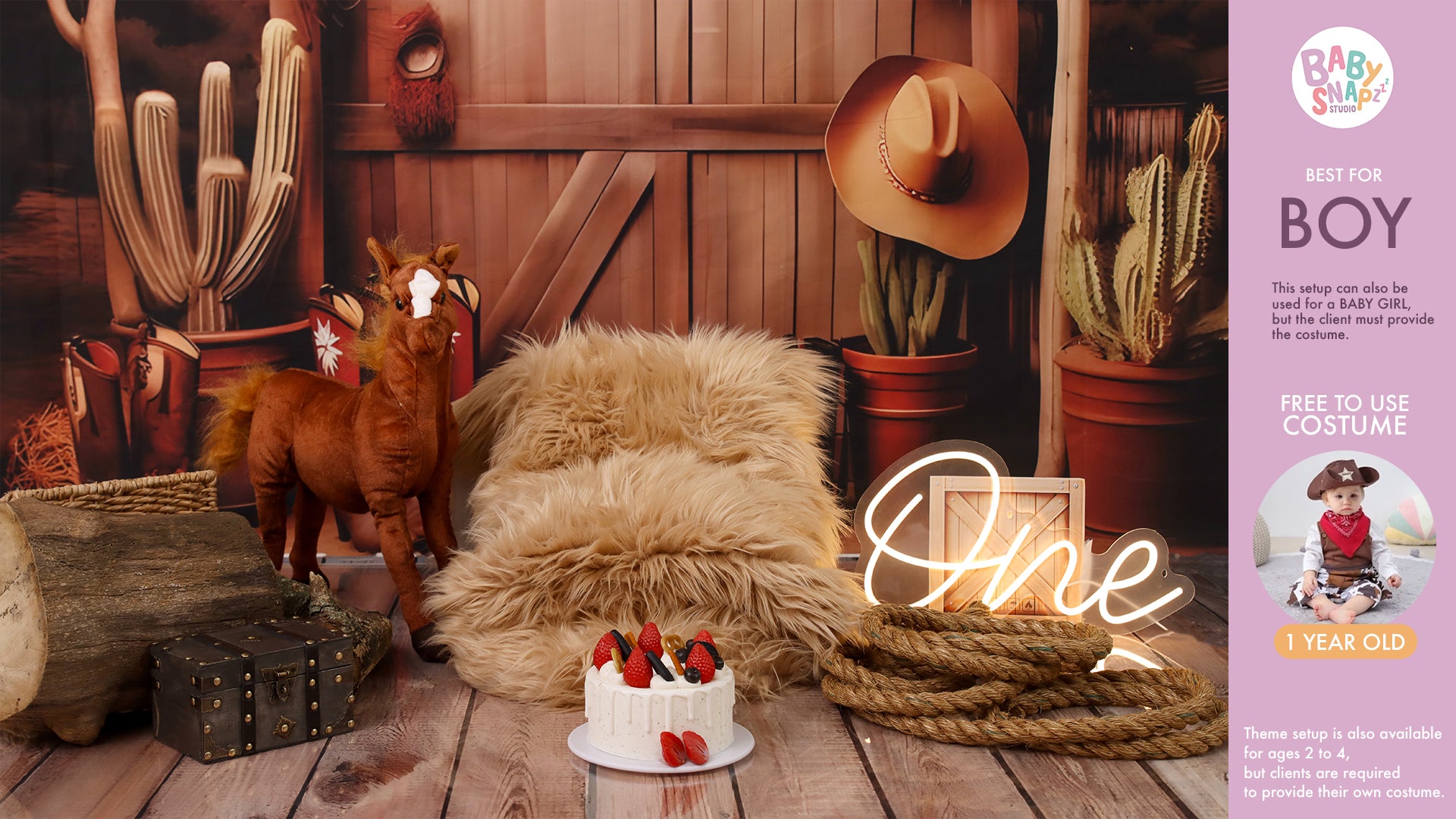 Themed Pre-Birthday Session (1-2 Years Old)